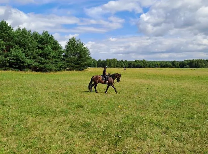Stajnia Malszewo Vila *
