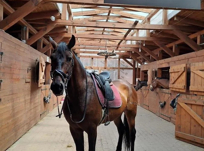 Vila Stajnia Malszewo Jedwabno