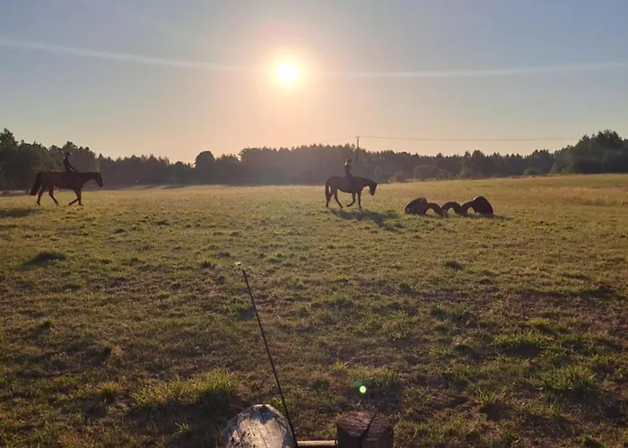 Stajnia Malszewo Vila *